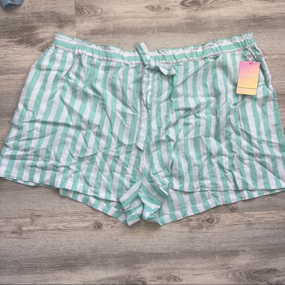 Plus Size Stoney Clover x Target shorts